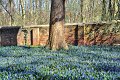 Fruehling2012   058